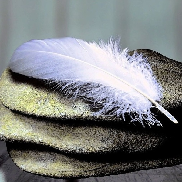 Feathers