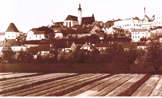 Blick auf Enns mit Pfarrkirche St. Marien um 1920 (im Vordergrund Krautäcker)