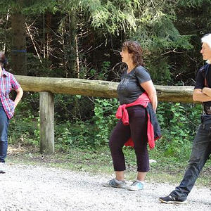 Naturerlebnisweg Pfarrwald Vöcklabruck