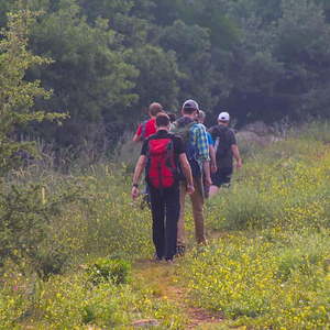 Bibelschule in Israel