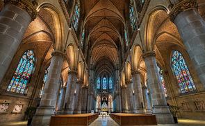 „Entwurzelung – die gefährlichste Krankheit“: Ausstellung im Linzer Mariendom