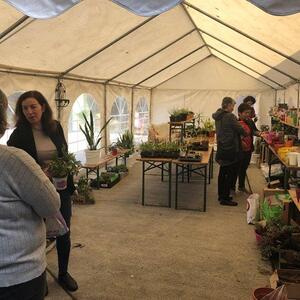 Zuerst wurde meist der Pflanzenmarkt besucht.