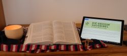Bibel online
