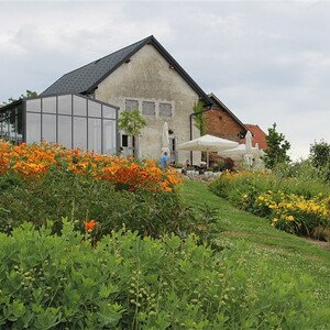 Betriebsausflug 2022 ins Eferdingerland