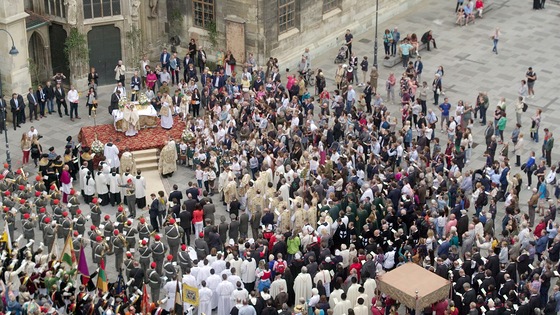Der Dom, das Wetter und der Jahreskreis - Hoch ragt der Stephansdom ?ber die D?cher der Innenstadt auf. Alles, was der Himmel im Lauf eines Jahres bringt, schl?gt sich hier besonders stark nieder. Ein Jahreskreislauf am Dom, das ist ein Wechselbad vo
