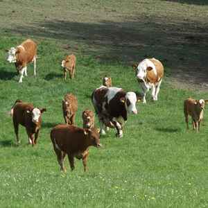 meditative Pilgerwanderung 28.4.18