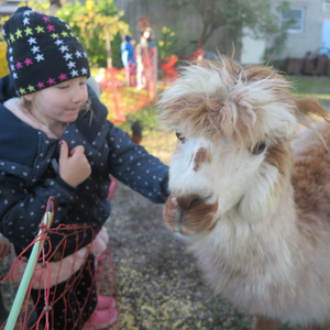 Besuch der 'Binderalm'