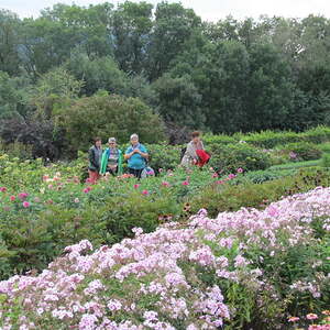 kfb Ausflug 2017 Pfarre Neumarkt im Mühlkreis
