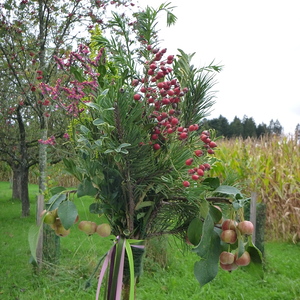 Pilgerwanderung 2022