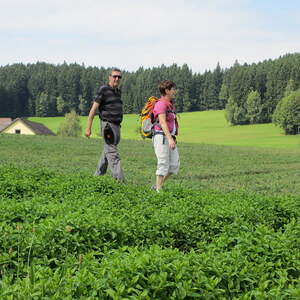 Redaktionsausflug 2013