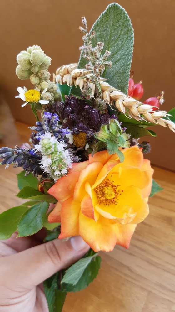 Maria Himmelfahrt / Iris Köllerer Maria Himmelfahrt