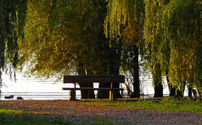 Kraftplatz Bank im Toskanapark Gmunden; Symbolfoto