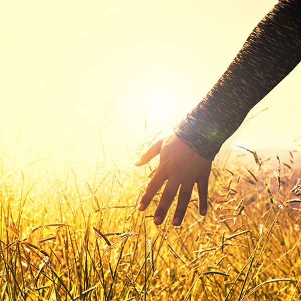 Österreichtagung 2025