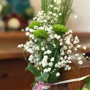 Pfarrfirmung 17.05.2025 Niederneukirchen