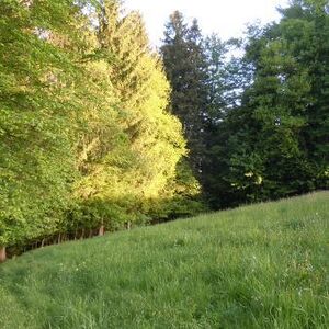 meditative Pilgerwanderung 