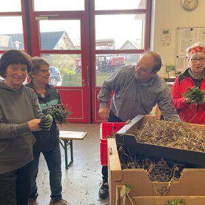 Palmbuschen binden 2025