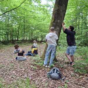 Impulse inmitten der Natur