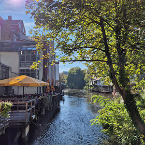 Die Gera fließt durch die Altstadt