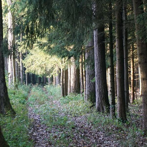 Auf den Spuren des heiligen Hubertus