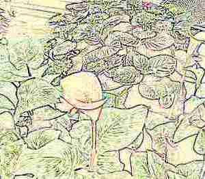 Kindergartenausflug in eine Gärtnerei