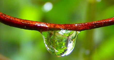 Vom Mut in die Tiefe zu gehen