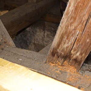 erste Fotos von der Dachstuhlsanierung