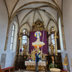 Spinnwebenfänger in Feldkirchen