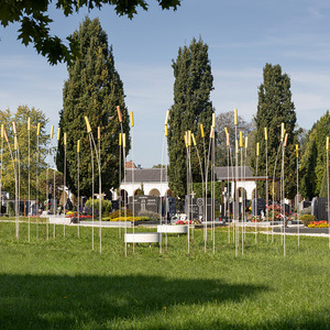 Friedhof Schwanenstadt