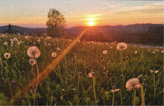 Sonnenuntergang vor dem Elternhaus in Vatersreith