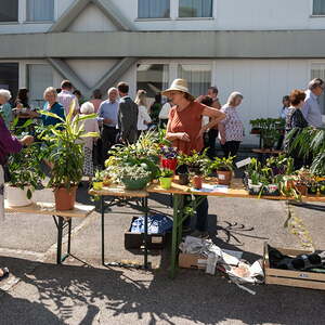 Pflanzenflohmarkkt 2018