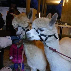 Pfarre Steyr-Resthof