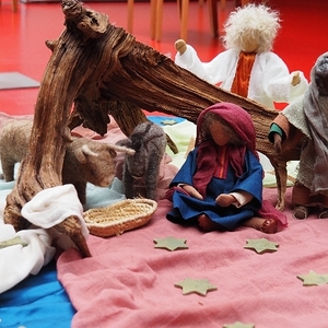 OLYMPUS DIGITAL CAMERA         