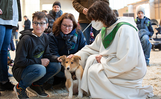 Tiersegnung 2021