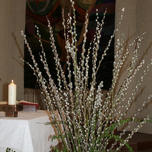 Palmweihe vor der Kirche