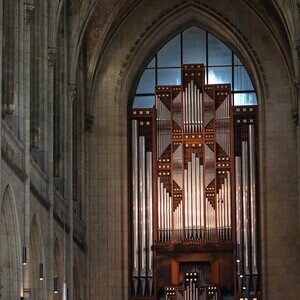 Rudigierorgel