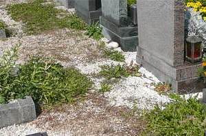 Weiterbau der Grünanlage