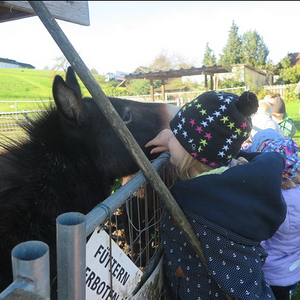 Besuch der 'Binderalm'