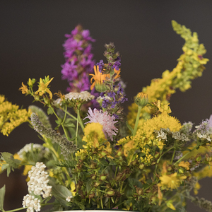 Mariä Himmelfahrt 2024