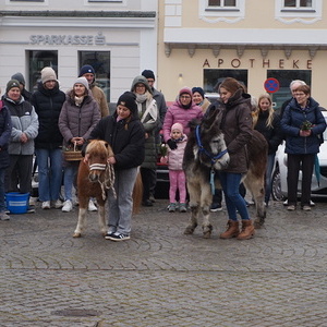 Bildergalerie Palmsonntag