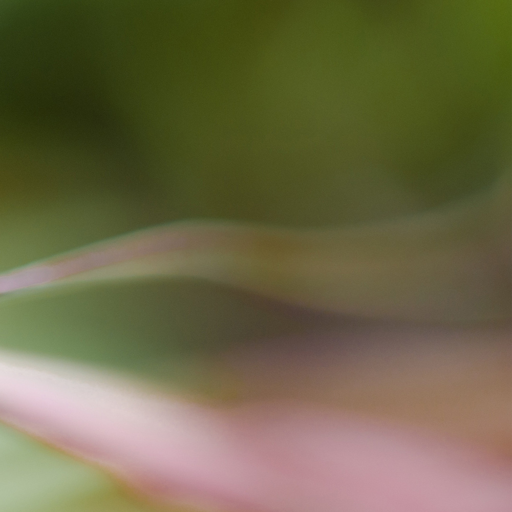 Berufsgemeinschaft der Krankenhausseelsorge