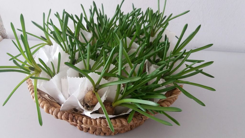 Kfb Dorf / Pfarre Dorf an der Pram Kfb Dorf