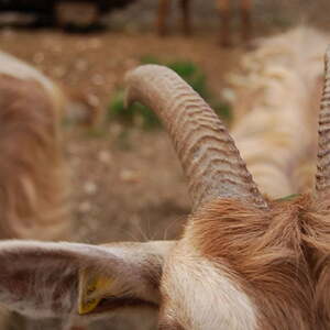 Jugend-Sommerwochenende in Kleinreifling
