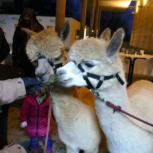 Pfarre Steyr-Resthof