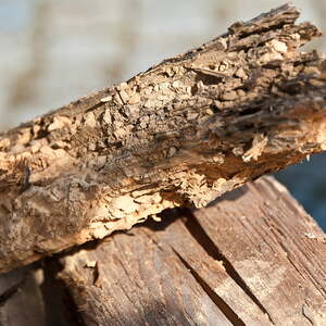 Turmhelm: Abnahme und Wieder-Aufsetzen
