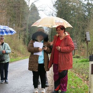 Kreuzweg am Schiltenberg