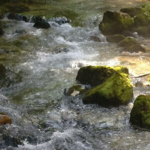 Ministrantenausflug 2017