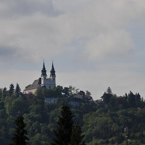 Firmprojekt Hochbeet