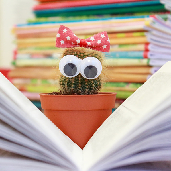 Sprachförderung für die Schulanfänger