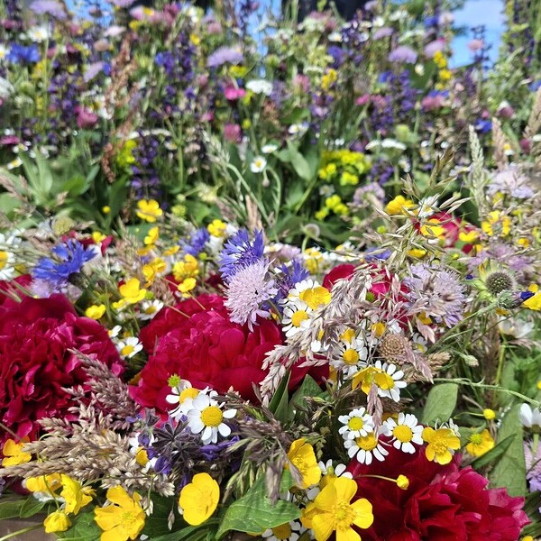 bunte Blumen