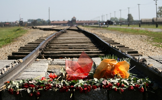 Am 27. Jänner 2022 jährt sich die Befreiung des nationalsozialistischen Konzentrations- und Vernichtungslagers Auschwitz durch die Rote Armee zum 77. Mal. 